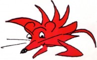 Logo Dansproducties Angoramuis